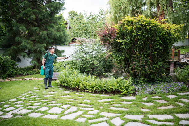 Reliable Wanaque, NJ Pest Control Solutions