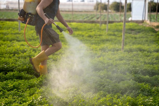 Best Pest Control for Homes  in Wanaque, NJ