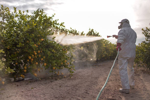 Best Mosquito Control Services  in Wanaque, NJ