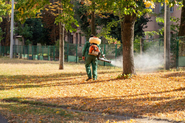 Best Termite Control Services  in Wanaque, NJ