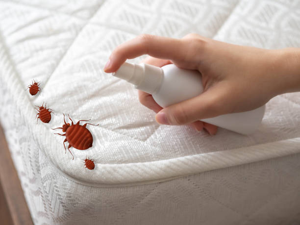 Best Spider Control Near Me  in Wanaque, NJ
