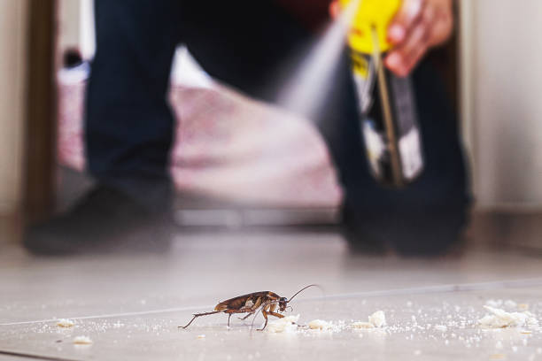 Insect Control in Wanaque, NJ
