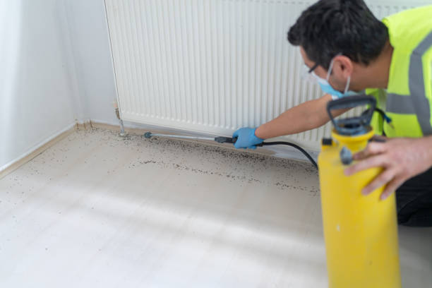 Best Commercial Pest Control Services  in Wanaque, NJ