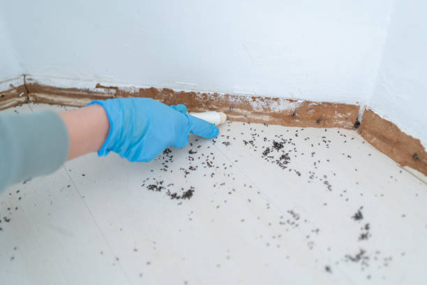 Best Exterminator Services  in Wanaque, NJ