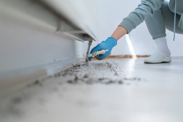 Best Pest Removal Services  in Wanaque, NJ